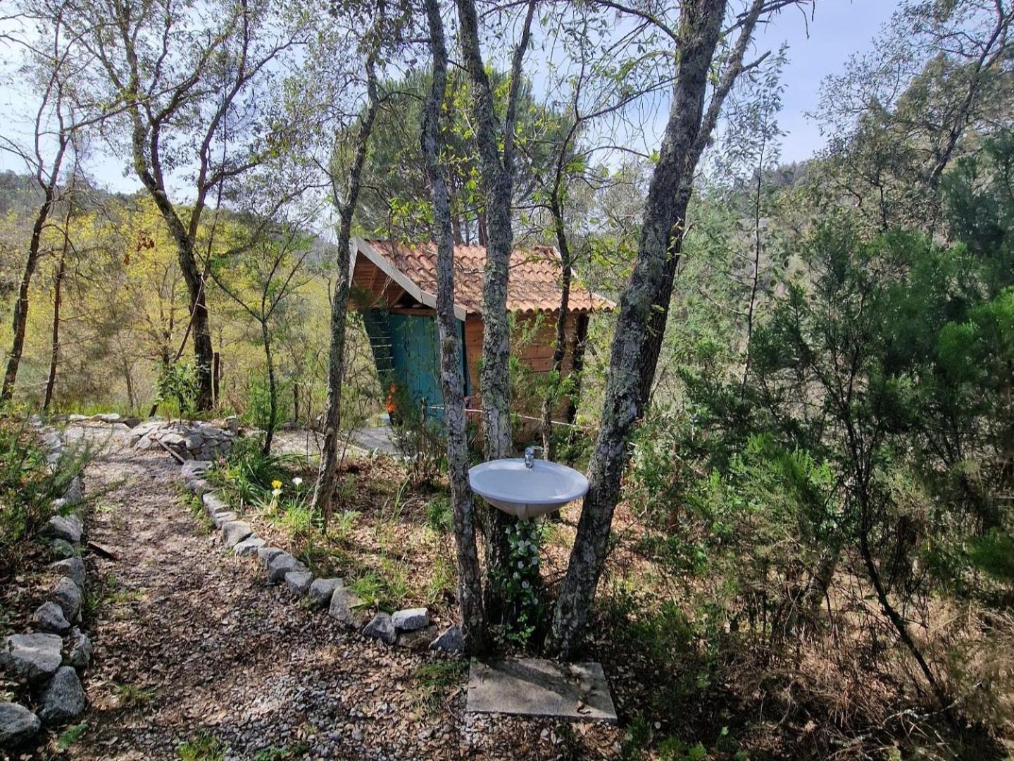 Quinta Da Lontra Villa Tábua Exterior photo